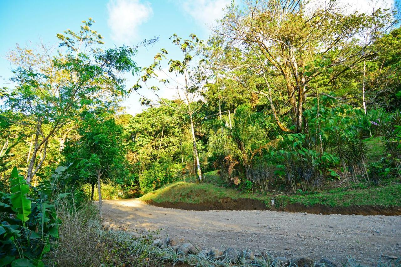 Aves De Tierras Altas Villa Bijagua Ngoại thất bức ảnh
