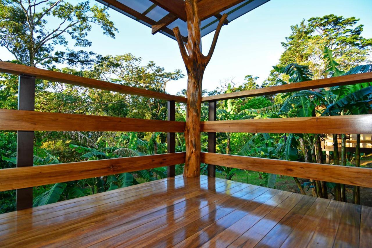 Aves De Tierras Altas Villa Bijagua Ngoại thất bức ảnh