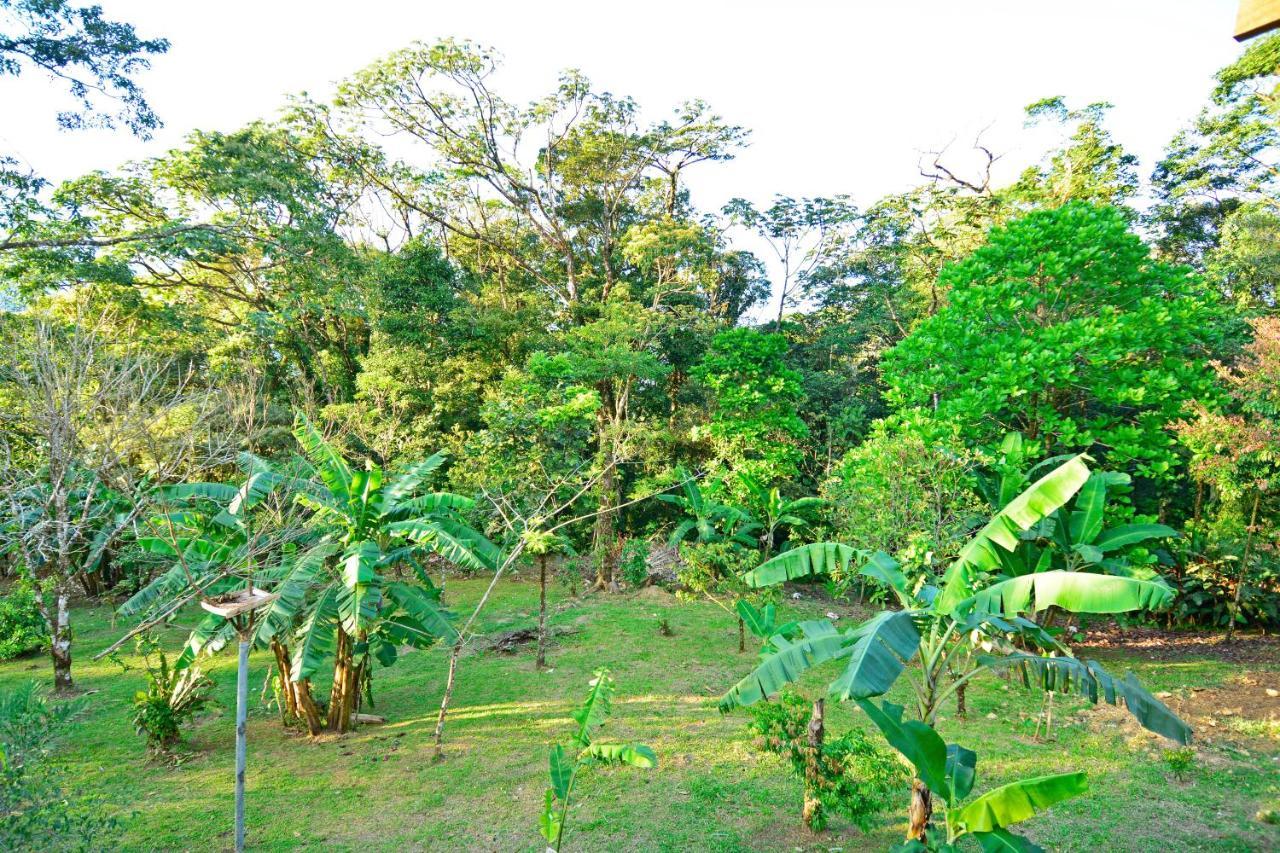 Aves De Tierras Altas Villa Bijagua Ngoại thất bức ảnh